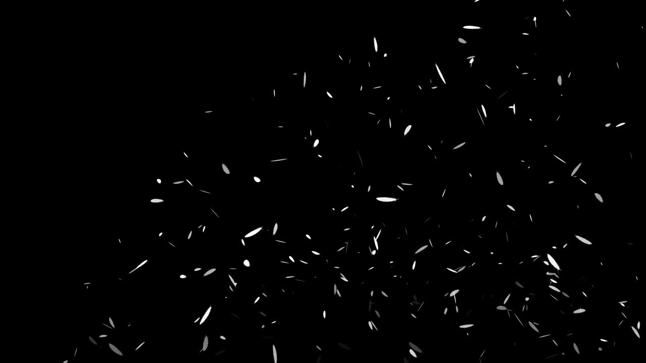White feathers soaring particles motion graphics
