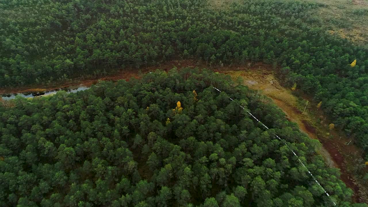 coloridos bosques estacionales y lago pantanoso en imágenes aéreas de otoño