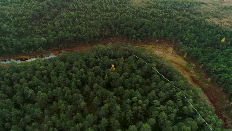 Colorful-seasonal-forests-and-bog-lake-in-autumn-time-aerial-footage