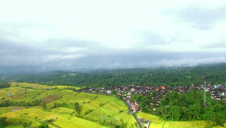 Drone-Volando-Hacia-Adelante-Sobre-Terrazas-De-Arroz-Verde-En-Indonesia-Paisaje-De-Aldea-De-Selva-Verde-De-Bali