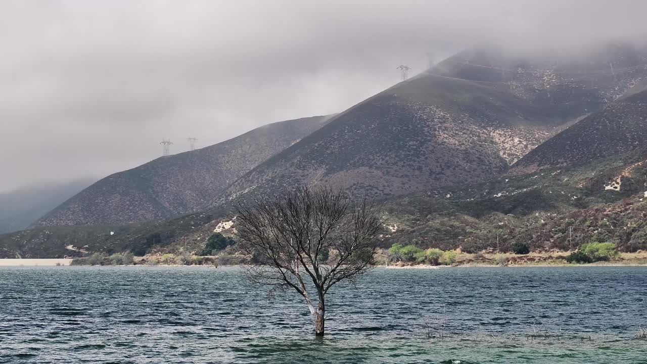 telephoto aerial of a dead tree inside of bouquet reservoir on a dreary rainy foggy day with transmission distribution towers in the background AERIAL ORBIT 60fps