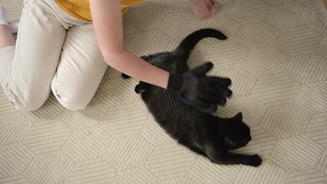 Top-View-Of-An-Unrecognizable-Woman-Sitting-On-Floor-And-Brushing-Her-Black-Cat-With-Glove