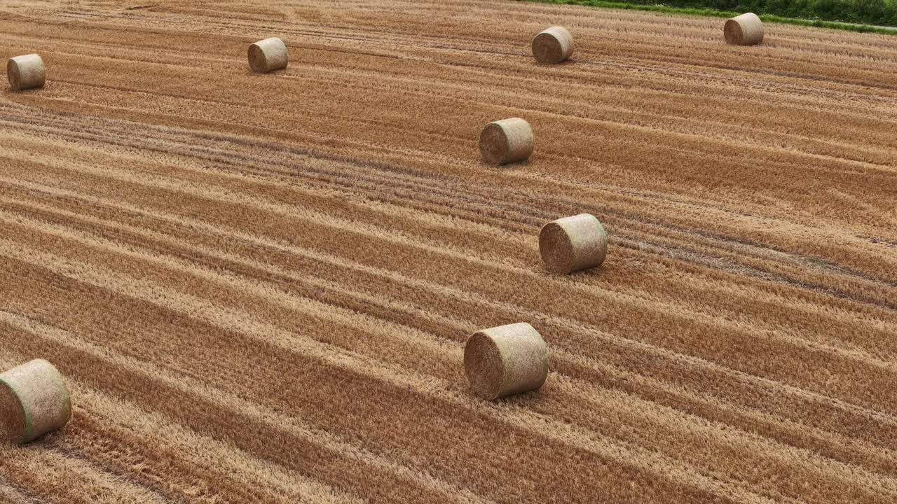 Aerial footage showing golden straw bales on a mown farm field during harvest season