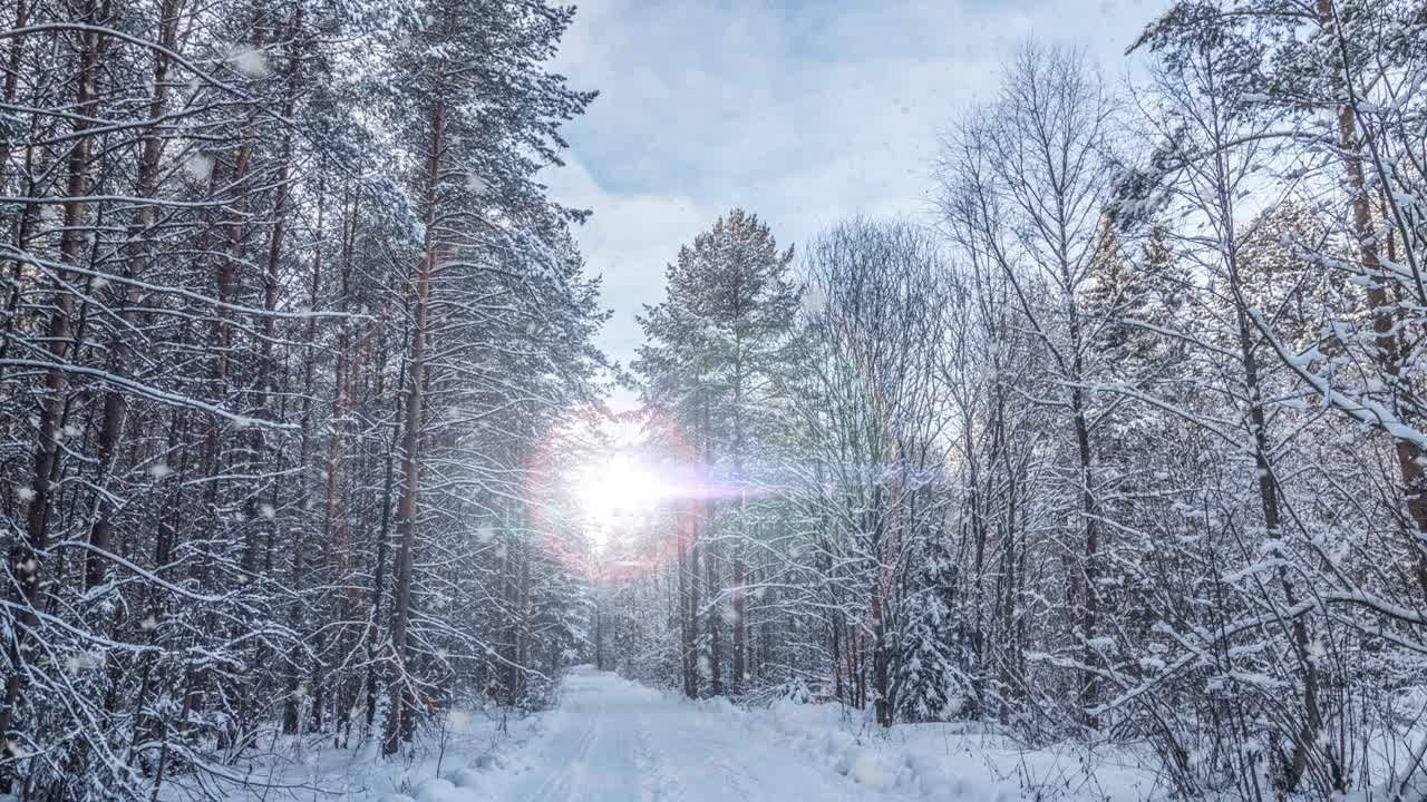 눈 인 도로 아래로 천천히 운전하는 자동차와 나무에서 부드럽게 떨어지는 잎의 겨울 장면 애니메이션.