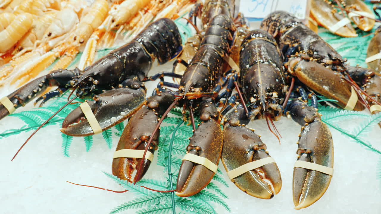 어시장의 큰 가재는 얼음 조각 위에 놓여 있다