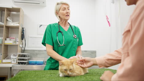 Conversación,-Servicio-Y-Veterinario-Con-Mascota.