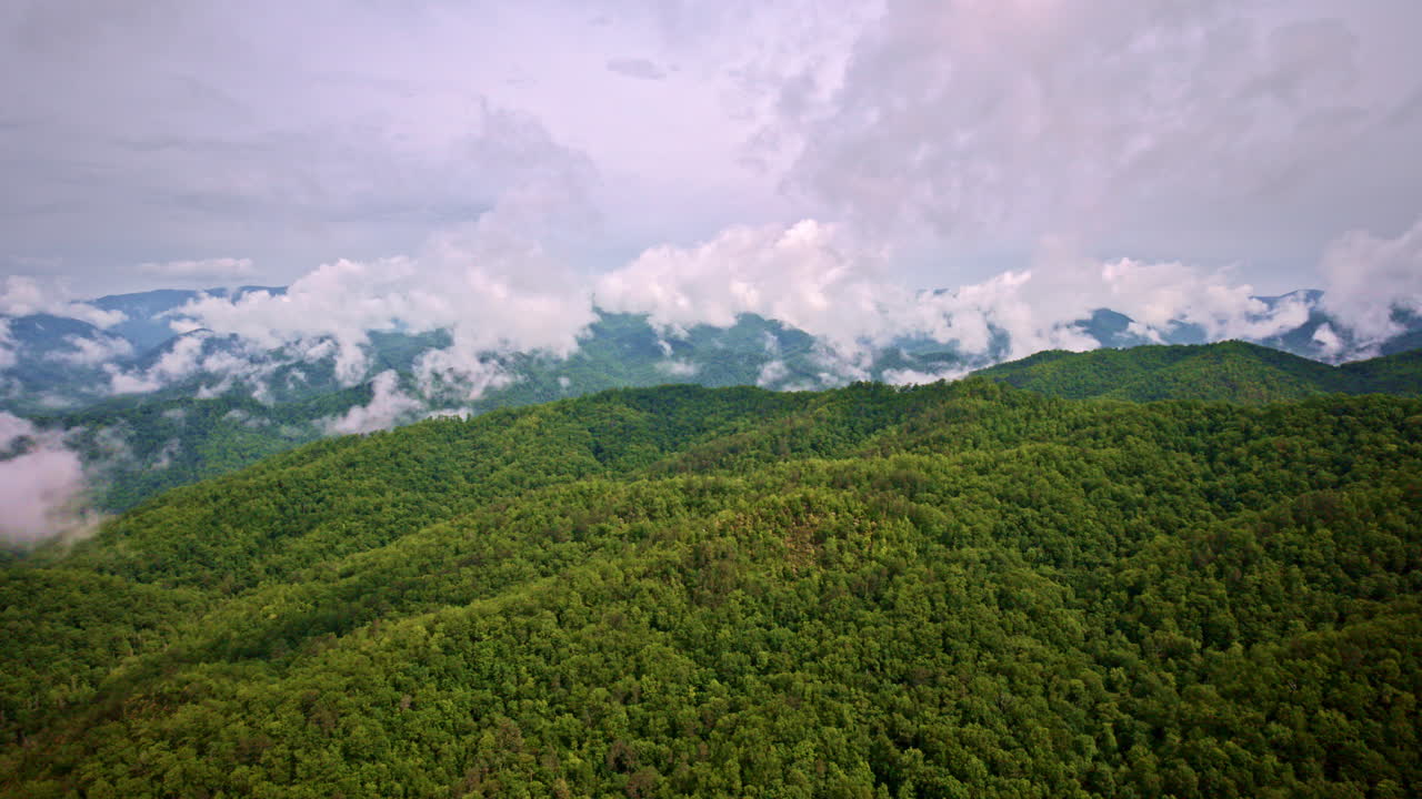 Smoky Mountains shrouded in mood and movement.