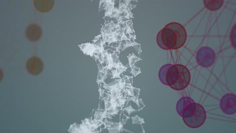 adn y red de conexiones sobre un fondo blanco.