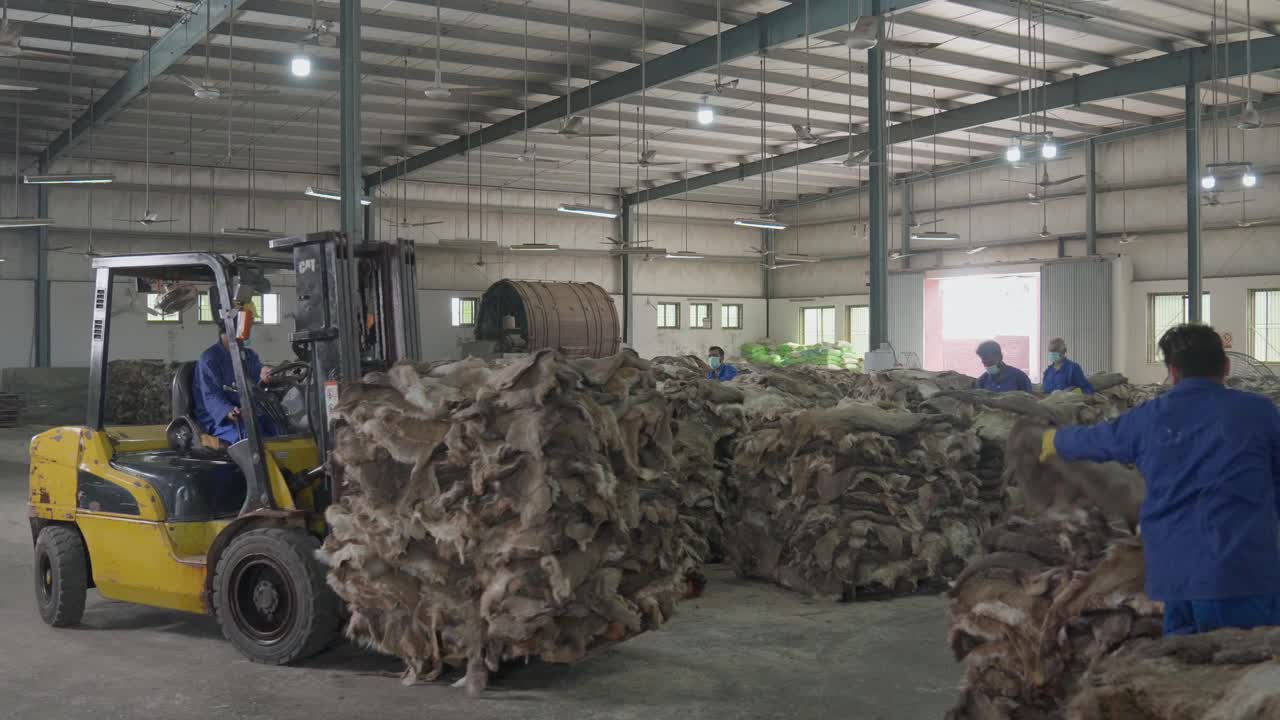 Forklift Driver Moving A Skid Of Raw Animal Hides For Production In A Leather Factory.