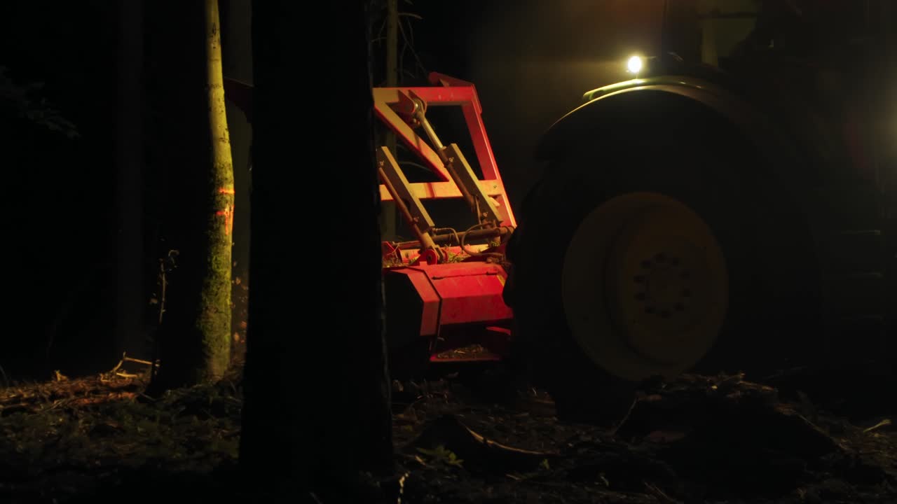 trituradora forestal procesa restos de árboles después de la infestación de escarabajos de corteza por la noche entre árboles