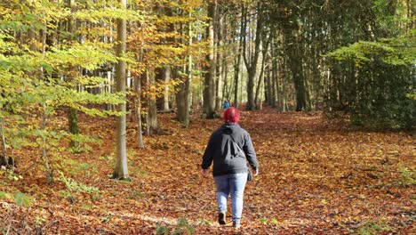a red-haired woman walks through an autumn forest in sauerland