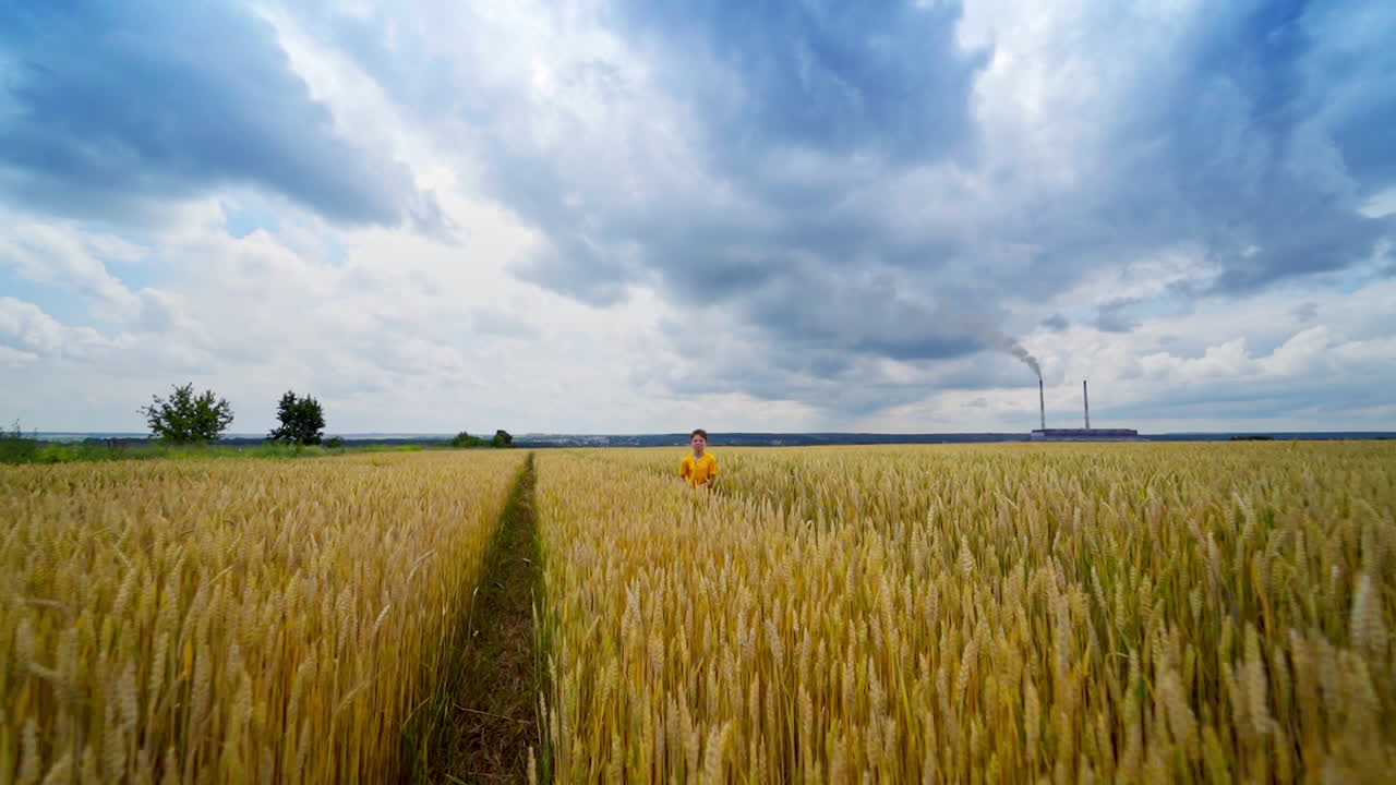 Little boy with plane. Happy kid playing with toy airplane on wheat field