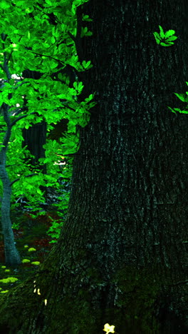 large tree trunk in a forest