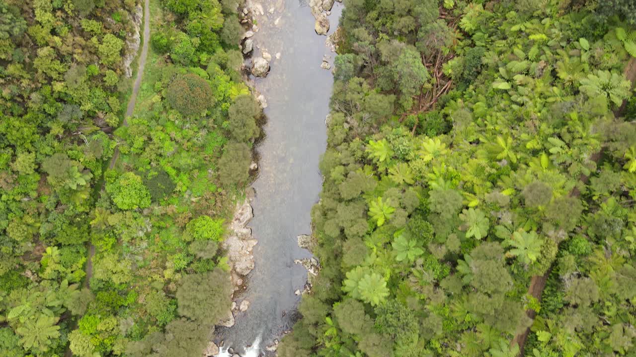 fotografía central de un grupo de personas caminando a lo largo de un sendero rodeado de un denso bosque cerca de un río sereno