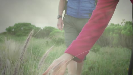 feliz pareja de ancianos caucásicos caminando, deteniéndose para tocar plantas, sobre nubes de rápido movimiento y luz solar