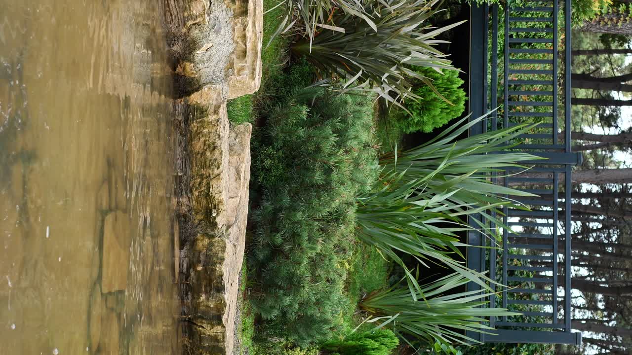 hermoso jardín con agua y plantas