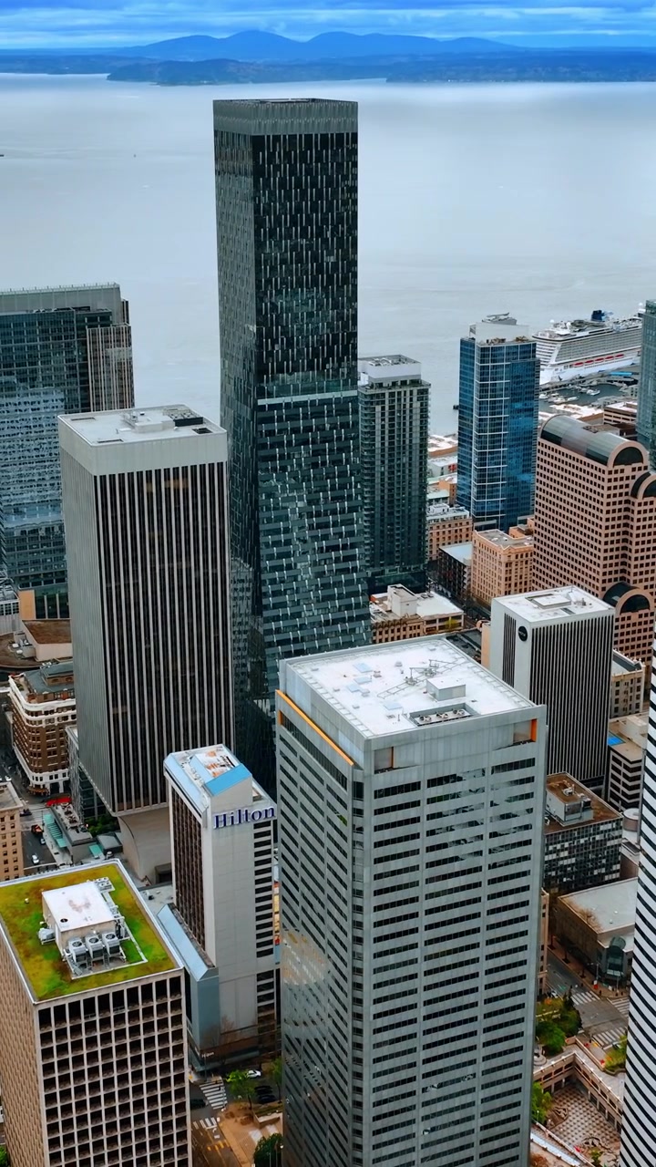 Diversi grattacieli moderni nel centro di Seattle, Stato di Washington, USA. Vista dall'alto. Tranquillo paesaggio acquatico del Lago Washington sullo sfondo. Video verticale