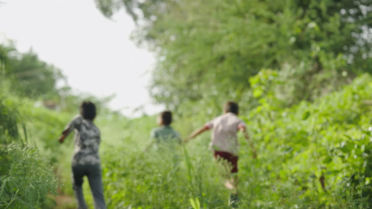 Children playing in a grassy field