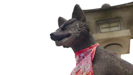 a statue of a fox in a traditional inari shrine japanese temple in tokyo, japan