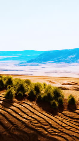paisaje desértico