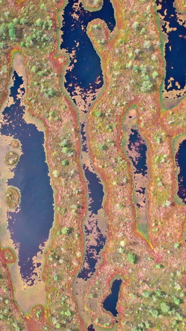 Stunning aerial view of Kemeri swamp landscape in Latvia