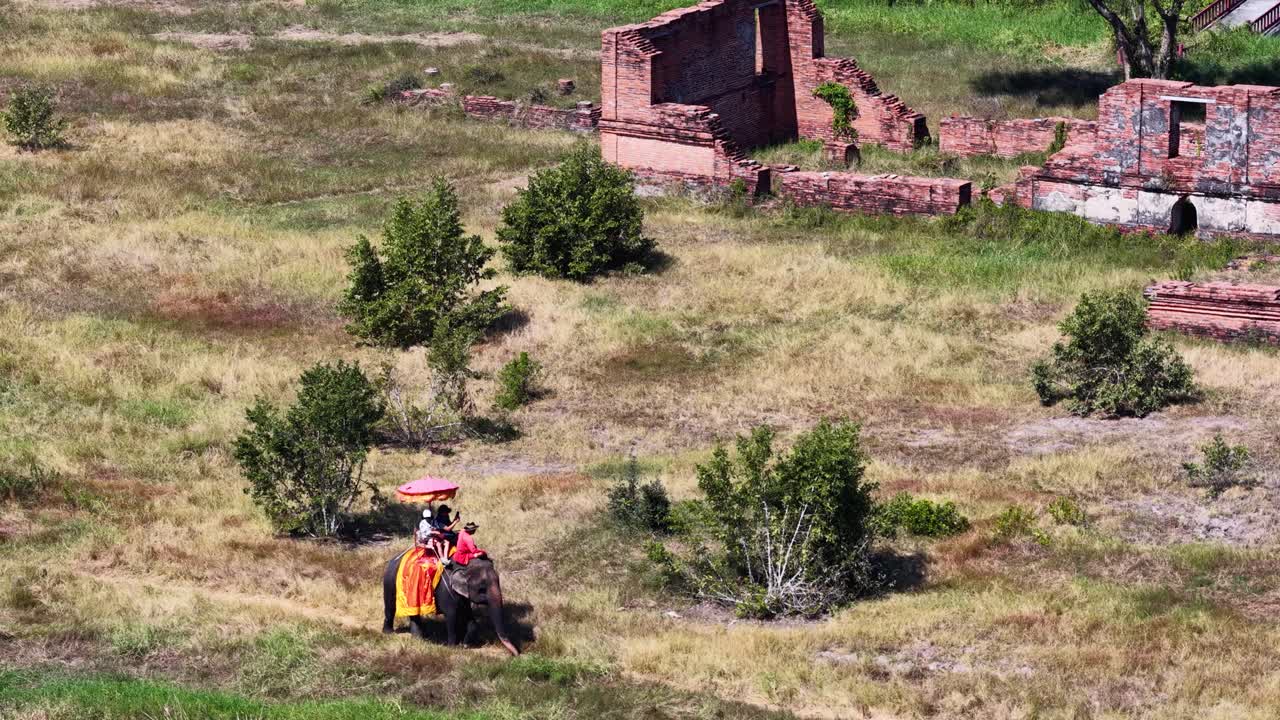 Ampia ripresa aerea di turisti che cavalcano un elefante tra rovine storiche sotto la luce intensa del sole