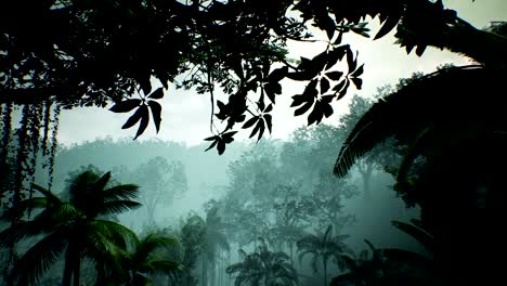 timelapse view over a beautiful lush green jungle. 4k