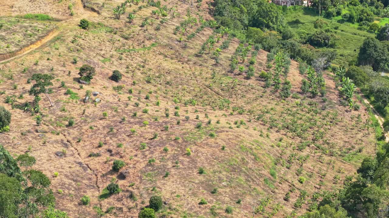 Serene farmland view in Suaita's mountainous terrain, Colombia