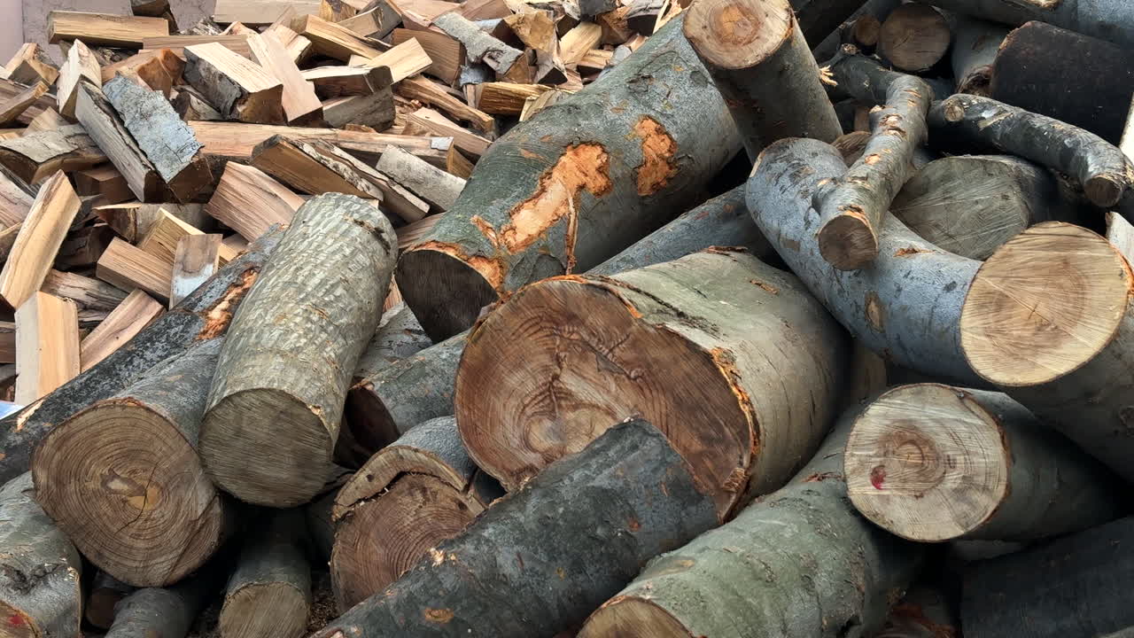 Wide shot of a large pile of freshly cut logs and chopped firewood, symbolizing deforestation, timber production, and the use of natural resources for energy and industry