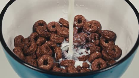 leche que se vierte sobre los aros de cereales para el desayuno. vista superior
