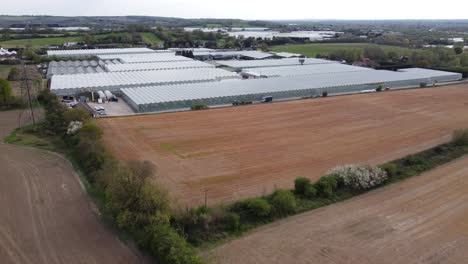 comarquet fruit greenhouses, essex, 英國, 美國, 英國 英國, 英國 無人機, 英國