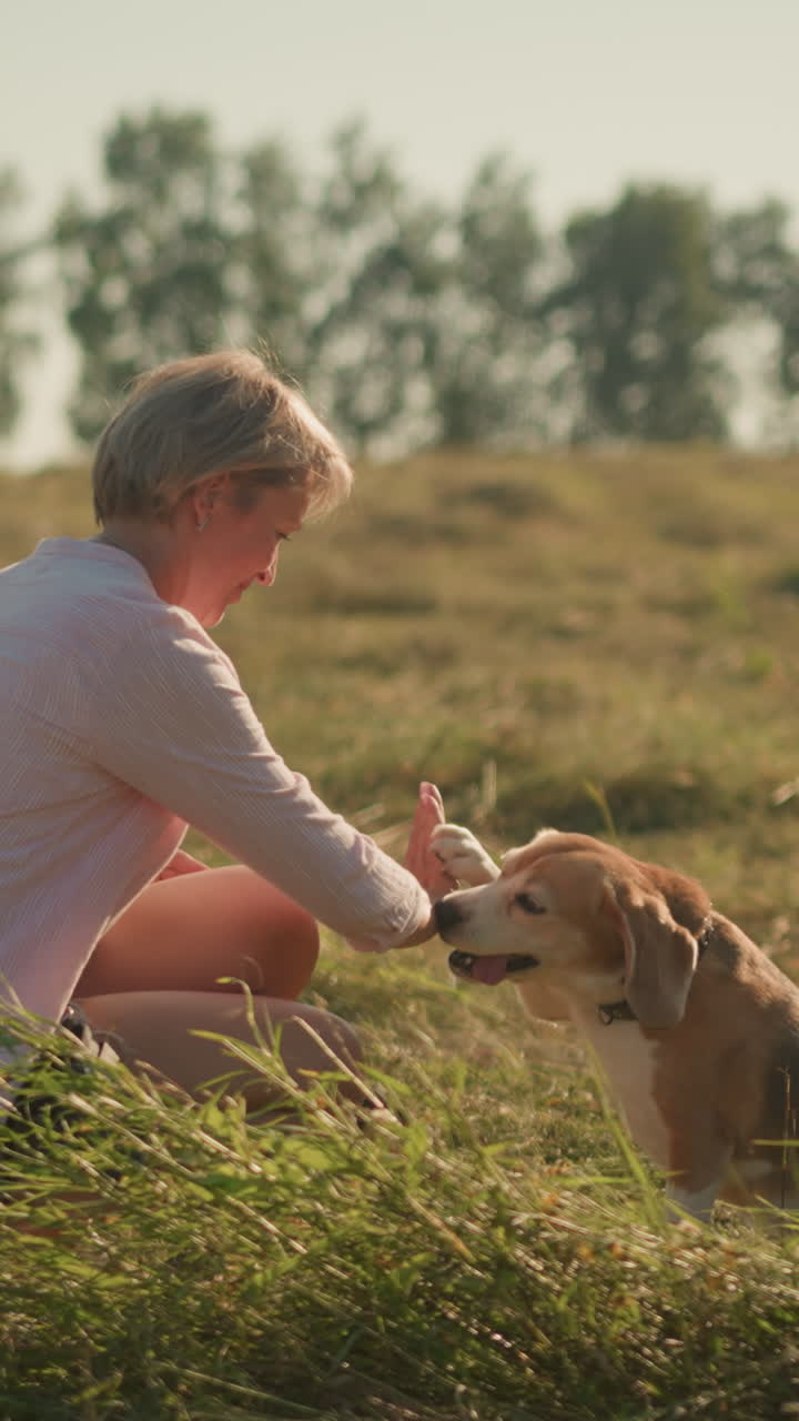 잔디에 무을 고 있는 애완동물 애호가, 그녀의 개에게 하이파이를 주고, 개가 놀이로 다리를 들어 올려서 하이 파이를 돌려주고, 분홍색 셔츠를 입은 여자가 따뜻한 빛 아래 을 맺으면서 개에게 미소 짓고 있다.