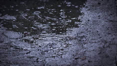 heavy rain shower downpour cloudburst rainfall behind the glass.