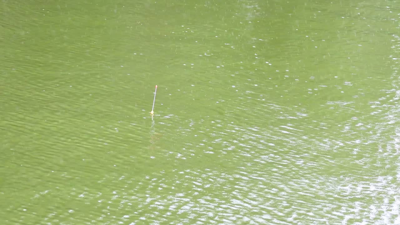 녹색 물 표면에서 흔들리는 시 플로트