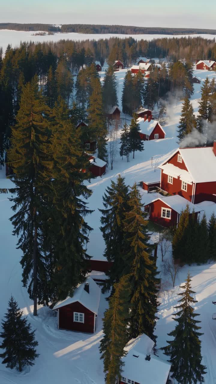 Video aereo di un villaggio innevato con case rosse in legno e alti pini, che cattura un’atmosfera serena