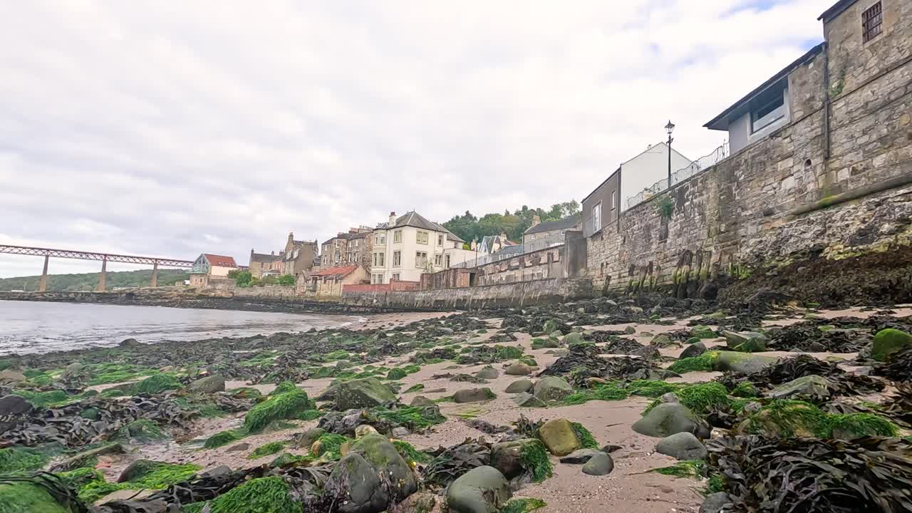 해조류와 해안 건물이 있는 바위 해변