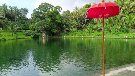 belo lago místico silencioso lago de peixes floresta verde com fundo templo hindu e guarda-chuva vermelho em sangeh bali destino turístico