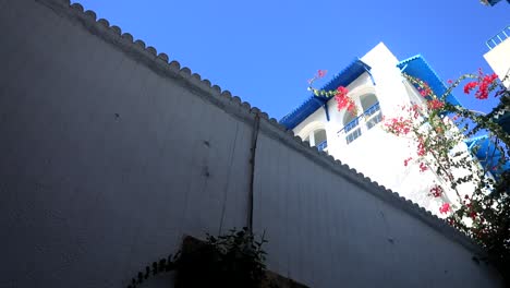 vista de bajo ángulo de la calle sidi bou dijo con vibrante arquitectura azul y blanca, cielo despejado, día soleado