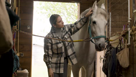 joven morena cuidando caballo blanco en el establo