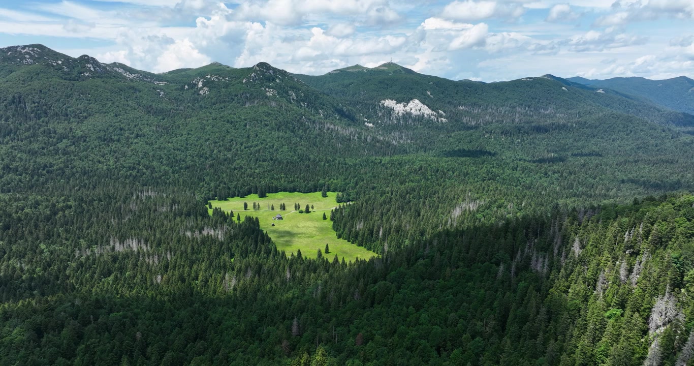 A forest clearing surrounded by dense trees and mountains in gorski kotar, aerial view