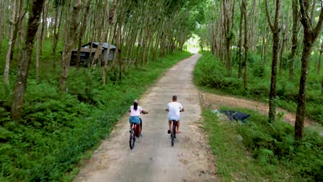 a couple of men and women on bicycle in the jungle of koh yao yai thailand, men and woman bicycling alongside a rubber plantation in thailand.