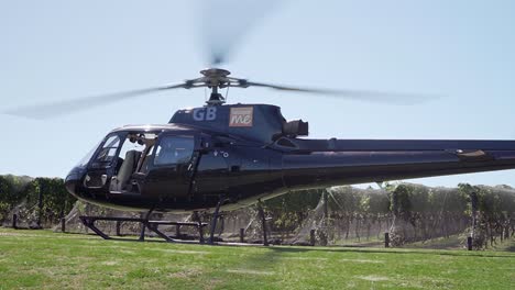 schwarzer hubschrauber mit eingeschalteten motoren landete im weinberg auf der insel waiheke, neuseeland