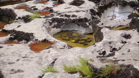 low angle wide shot of limestone swiss cheese holes with water and gravel inside