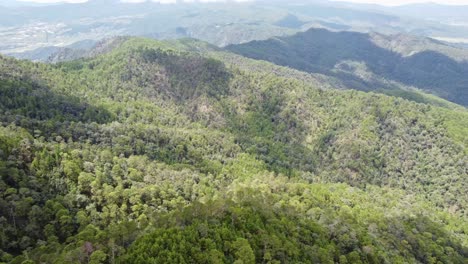 hermosa vista aérea del paisaje del amanecer en un vasto bosque - vista de pájaros use el dron en la luz del sol brillante de la mañana