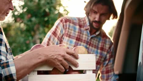 Handheld view of two farmers at work