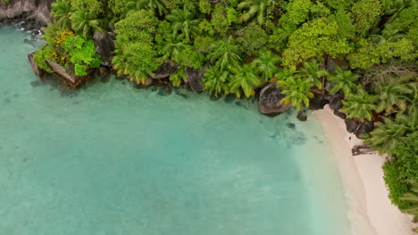 Vista-Aérea-De-Una-Pequeña-Playa-Exótica-Rodeada-De-Exuberante-Vegetación-Verde-En-Las-Seychelles.