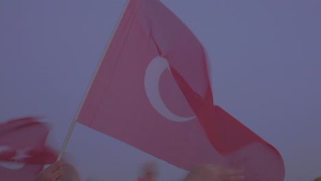 turkish flag protest