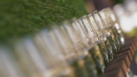 glasses with tasty champagne on rack near artificial grass