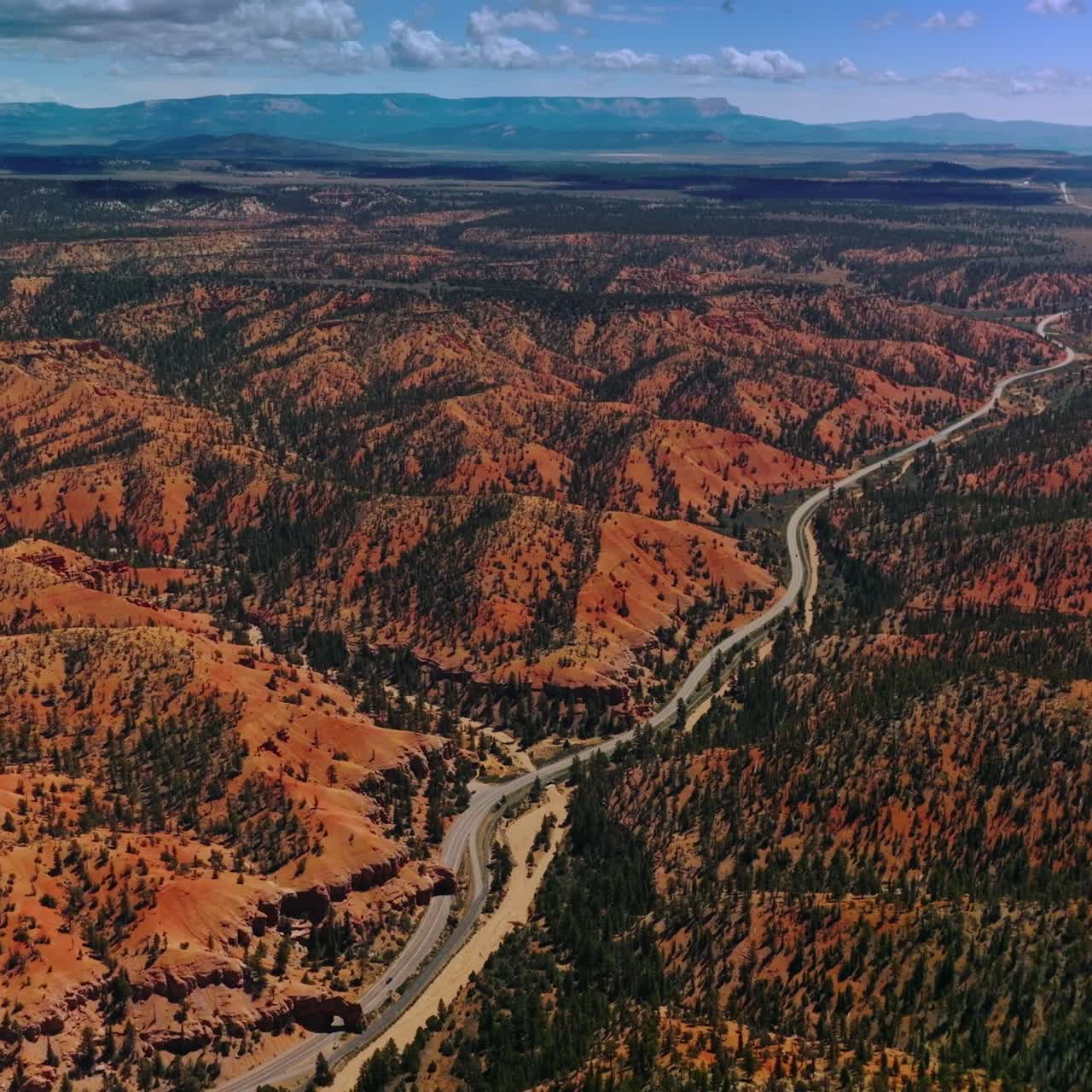 Stunning scenery of beautiful mountains grown with pine trees. Long road through the hills in Arches canyon, Utah, United States