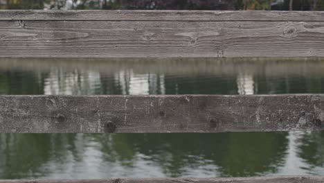 Wooden-planck-fence-wih-water-behind